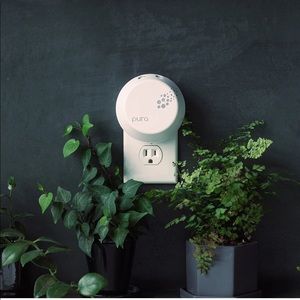 Pura home fragrance wall plug